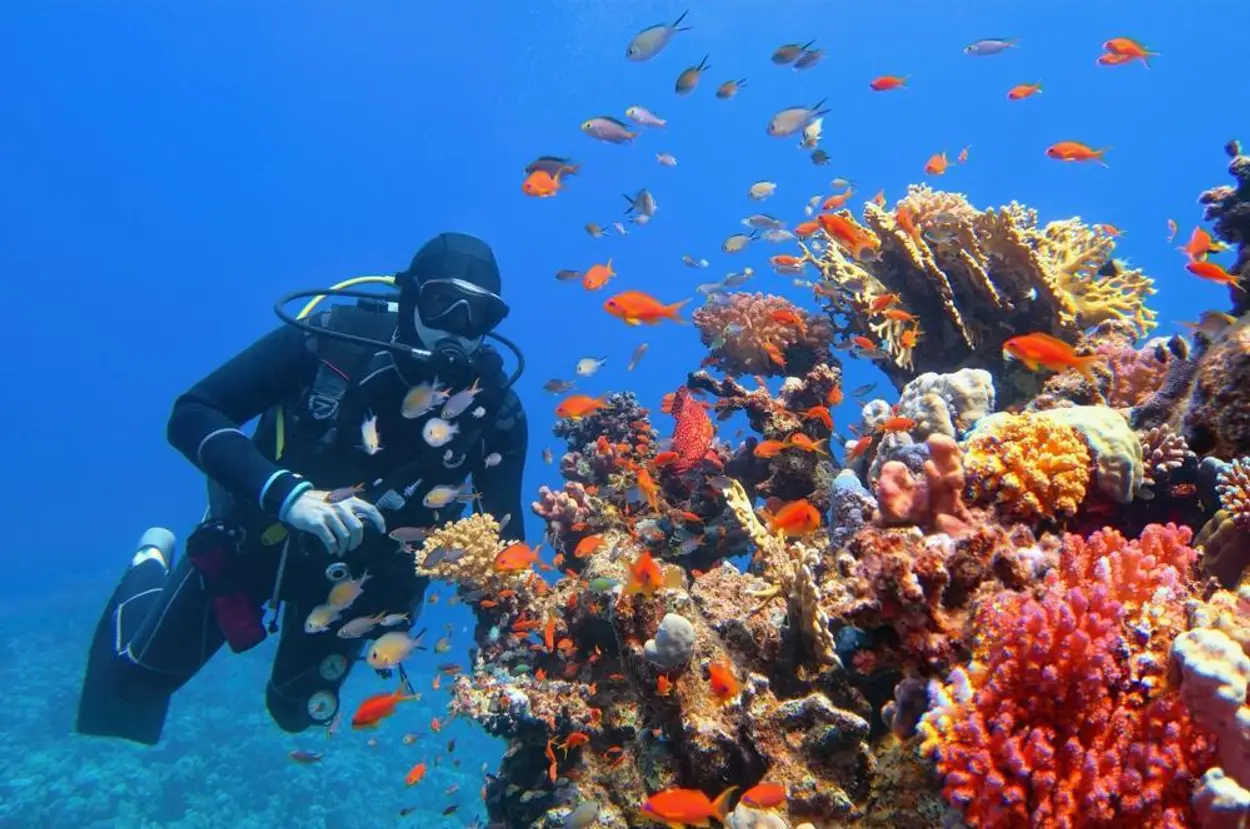 Freediving Course Nusa Penida | Nusablu Dive Center | nusablu.com