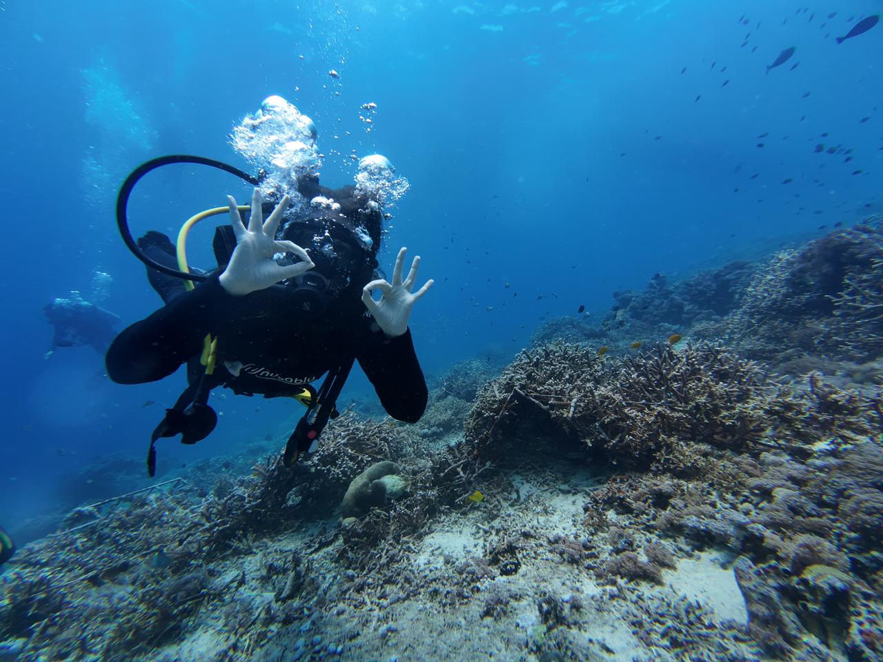 Diving in Nusa Penida: The Best Activities to Try