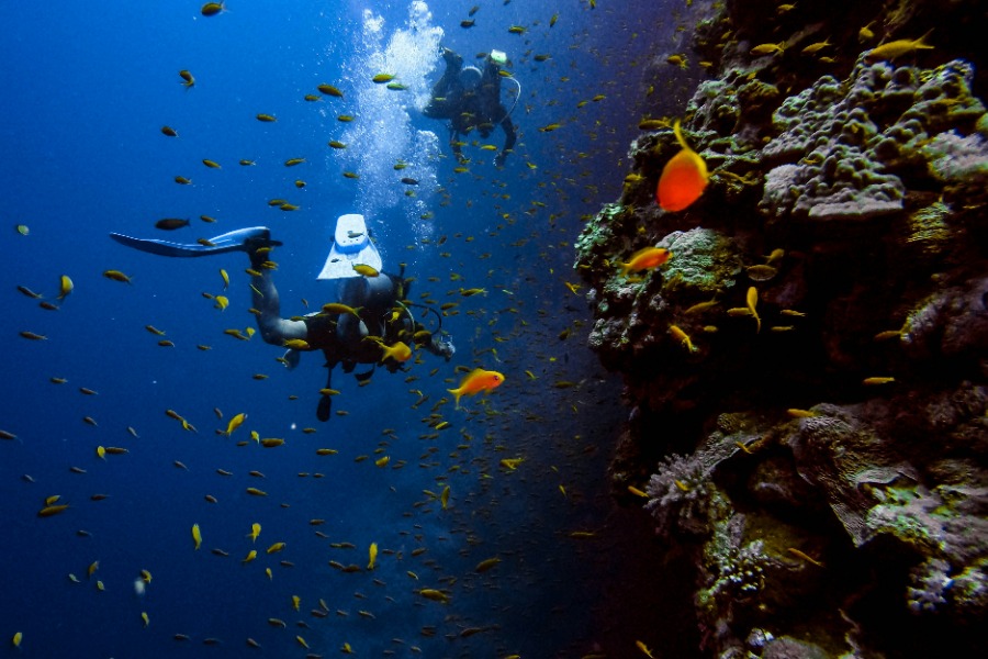 Fun Dive Nusa Penida | Diving with Nusablu | Nusablu Dive Center | nusablu.com Fun Dive Nusa Penida | Diving with Nusablu | Nusablu Dive Center | nusablu.com