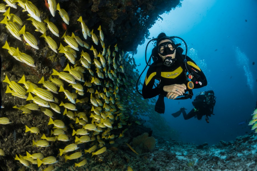 Fun Dive Nusa Penida | Diving with Nusablu | Nusablu Dive Center | nusablu.com Fun Dive Nusa Penida | Diving with Nusablu | Nusablu Dive Center | nusablu.com