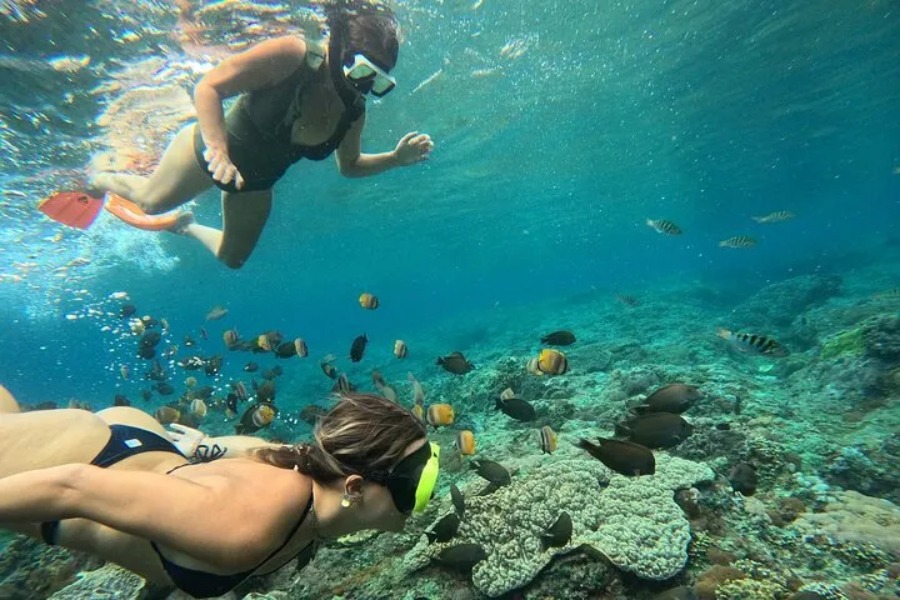 Best Snorkeling in Nusa Penida: What You Must Know 