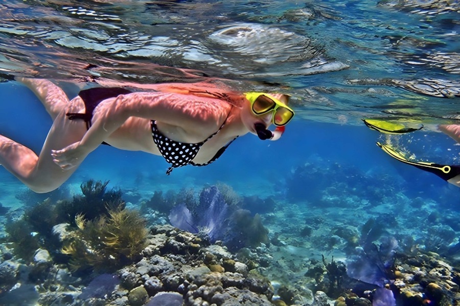 Manta Bay Snorkeling Nusa Penida | Snorkeling with Nusablu | Nusablu Dive Center | nusablu.com