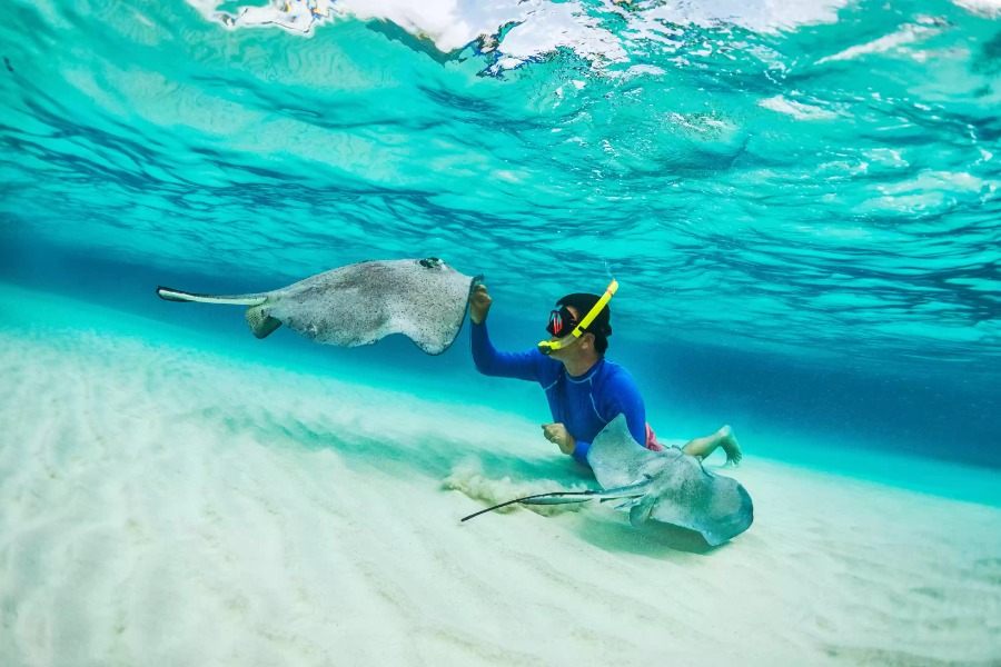 Best Snorkeling Spots Nusa Penida: Full Guide (2026)