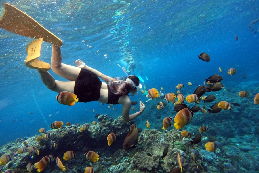 Nusa Penida Snorkeling Guide | Snorkeling with Nusablu | Nusablu Dive Center | nusablu.com