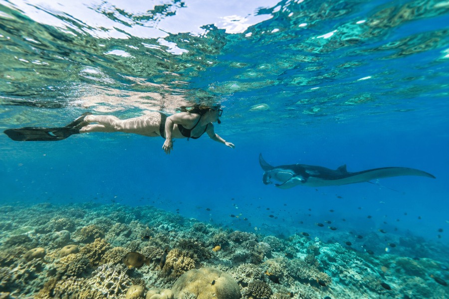 Nusa Penida Snorkeling Guide | Snorkeling with Nusablu | Nusablu Dive Center | nusablu.com